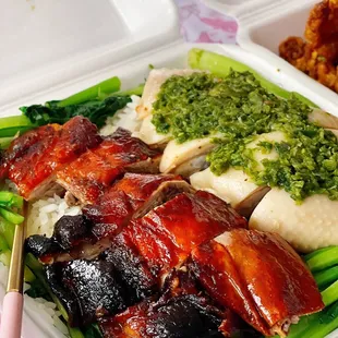 Roast duck and cold ginger chicken rice plate