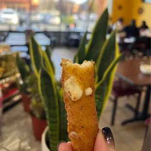 Mozzarella stick. So good.