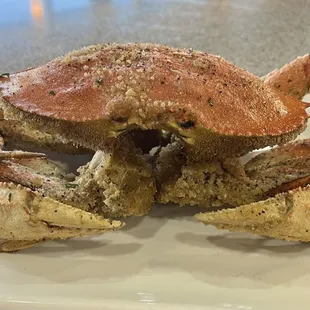 Steamed Dungeness Crab