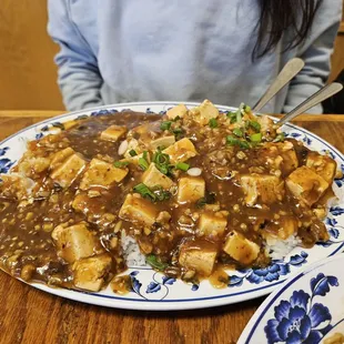 Mapo Tofu