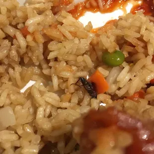 BUG IN MY FOOD!!!!!! Who knows what else is in there food.