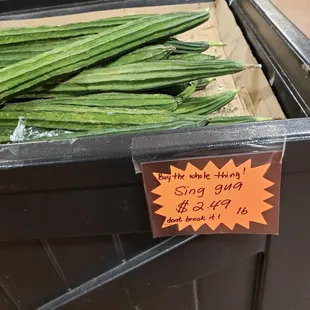 long green beans in a bin