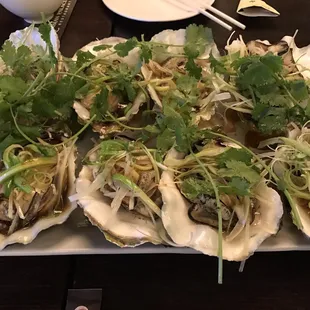 Steamed Oysters