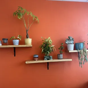 Decor.