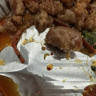 The insect or larva is pictured in the center.