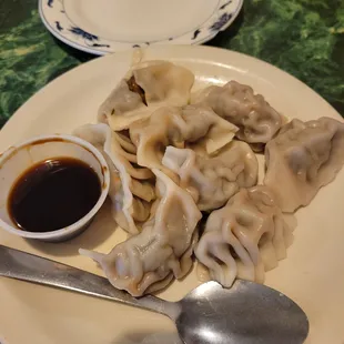 Steamed Dumplings