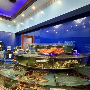 As you walk in- this is their display case