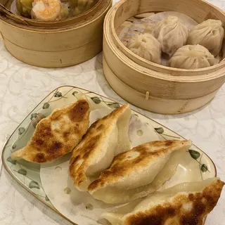 Pan Fried Pot Sticker