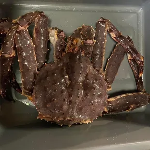8lb king crab. $45/lb discounted
