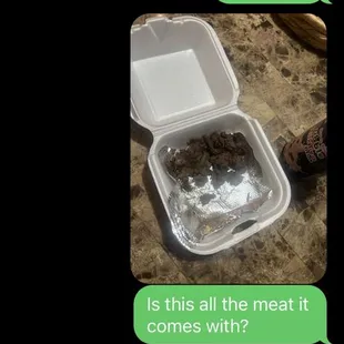 Meat in the regular bulgogi fries