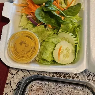 This is $18 worth of salad. It did come with a small container of watered-down sugar ginger dressing?