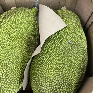Durian