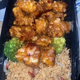 General Tso Chicken &amp; Pork Fried Rice