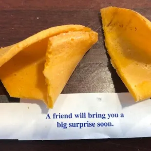 Surprises can be bad or good. Don't even think about bringing me a cat!