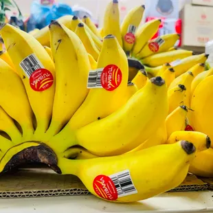 bunches of bananas on display