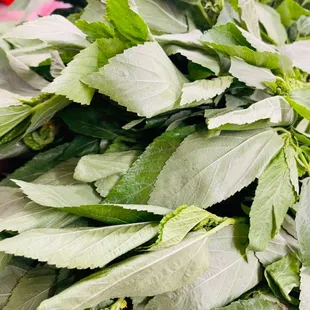 a pile of fresh herbs