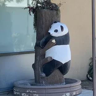 Panda planter in front of restaurant