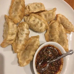 Beef Dumplings
