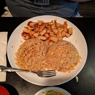 Teriyaki chicken and fried rice
