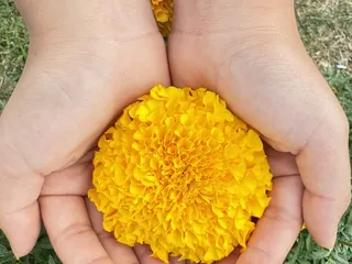 Sikhay Thai Lao Cuisine