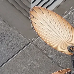 Moldy dust on the broken fans right above your head