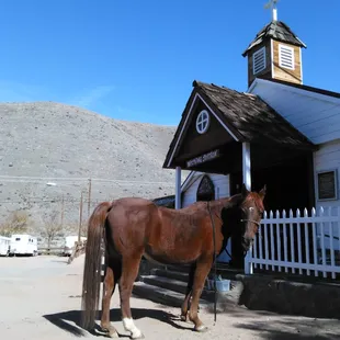 Sweetie's waiting patiently