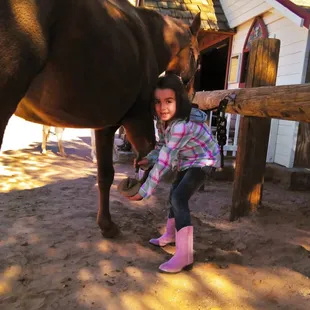 Cleaning sweeties hoofs