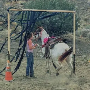 Ziggy and the cowboy curtain