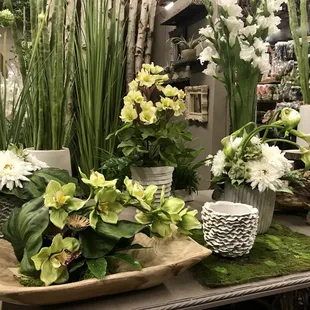Orchids and tropical