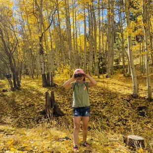 Exploring the forest.