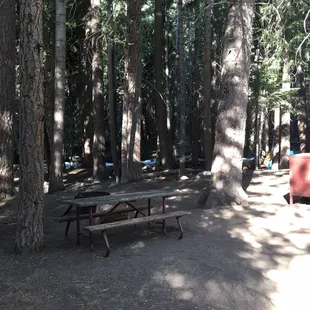 Most campsites do not require a canopy because of all the trees surrounding the area that give you shade.