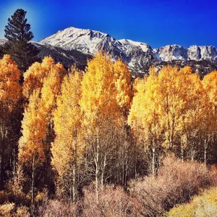 Right off Tioga Pass