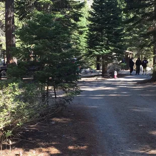 This pit toilet was close to our campsite, however the temporary out houses are cleaner.