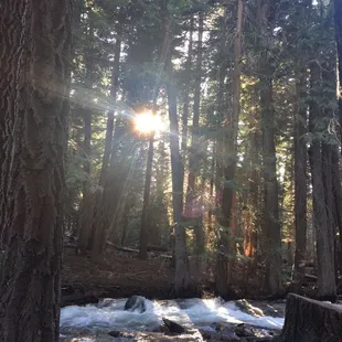 Creek/river running pretty fast. A lot of water because of the second highest snowfall the area had in recent history. Winter 2016-2017.