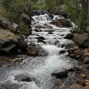 Aspen Campground (Lee Vining, CA) -