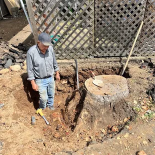 First project taking a 50 year old tree stump out in the way .