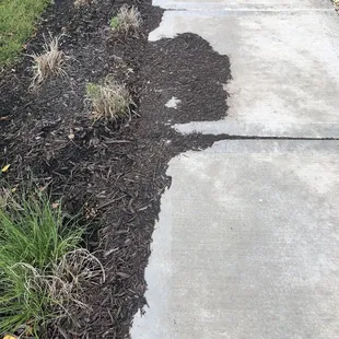 After Aspen mowed.....