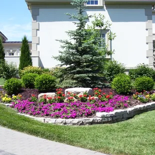 Annuals Installation