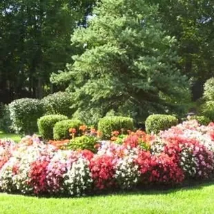 Annuals Installation