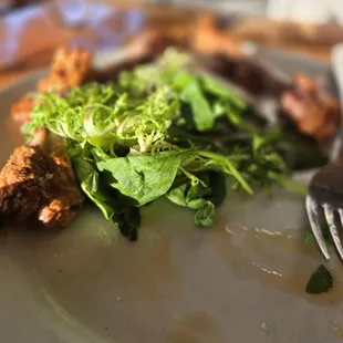 Duck wings