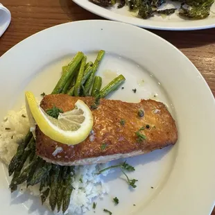 Salmon