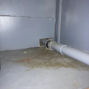 Mold