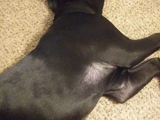 Willow Creek Apartments