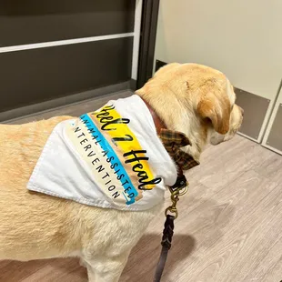 Pet Therapy Bakersfield, CA.