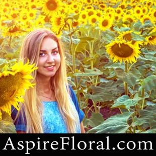 Sunflower Buying Guide