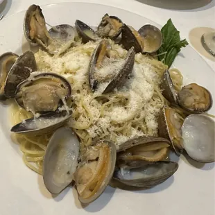Fresh Clams Scampi