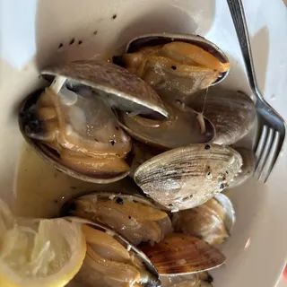 Scallop Scampi - Small