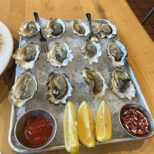 Oysters
