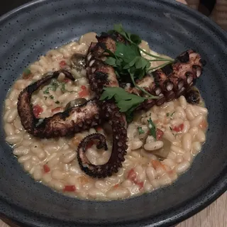 Grilled Octopus