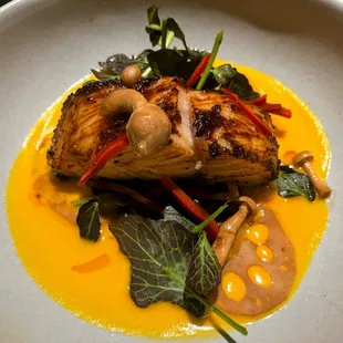 Black Cod